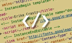 Services : Web Design